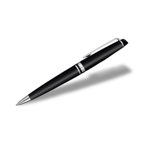 Waterman Expert Matte Blk CT BP